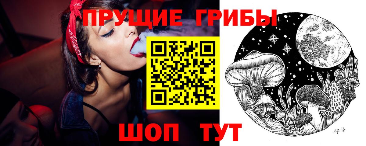 Псилоцибиновые грибы GOLDEN TEACHER Ступино
