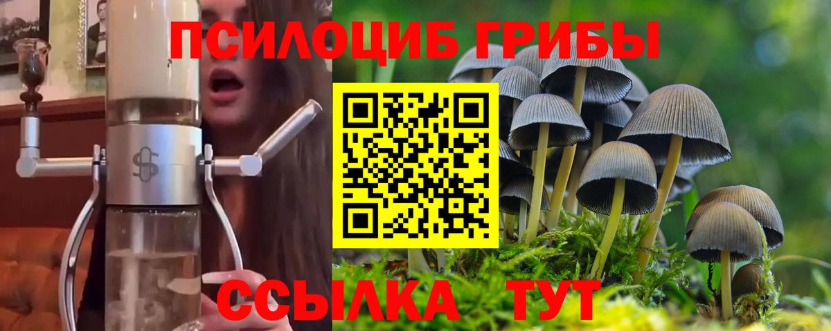 Ступино  купить  сайты  Вход с VPN  Псилоцибиновые грибы GOLDEN TEACHER 